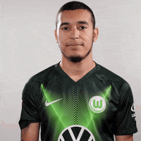 Soccer Bundesliga GIF by VfL Wolfsburg