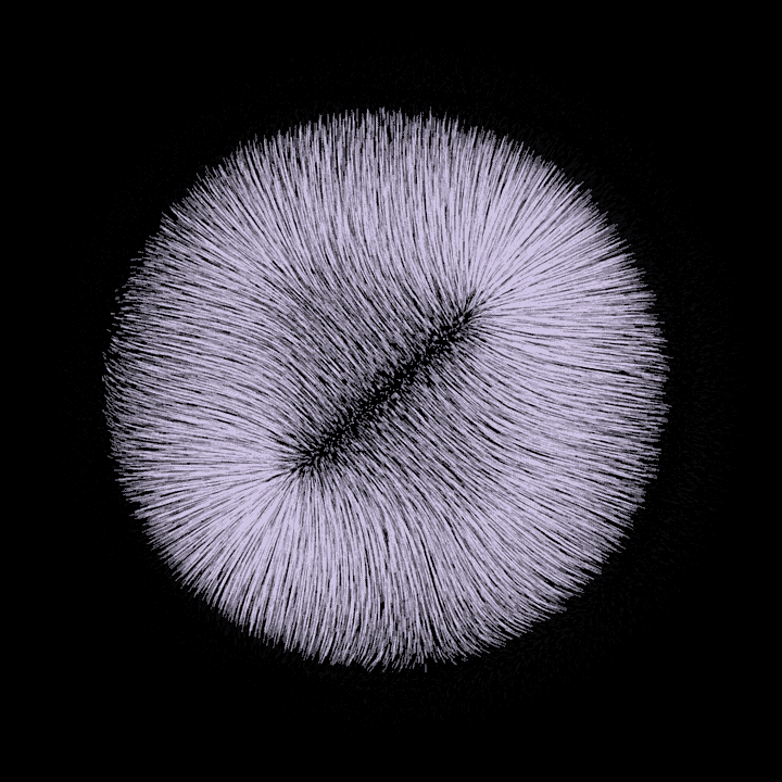 loop displace GIF by roberthruska