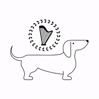 Bso500 GIF by Bayerische Staatsoper