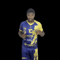 GIF by SARREBOURG HANDBALL