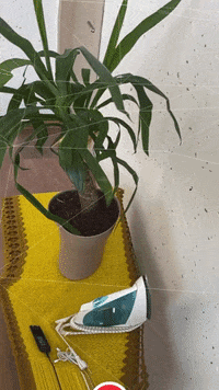 Fashion Ar GIF by Aleksey Efremov