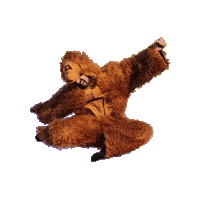 ToukanToukan happy yeah crazy animal Sticker