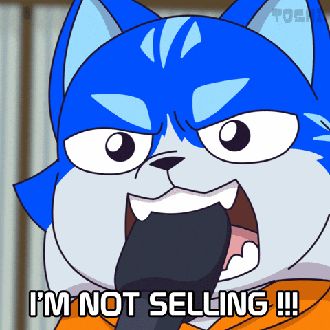 Jordan Belfort Cat GIF by Toshithecat