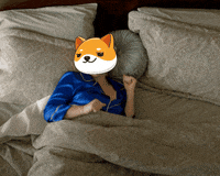 Money Crypto GIF by Baby Doge Coin