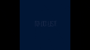 trafficdoodles  GIF