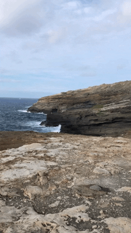 ryanssterritt  GIF