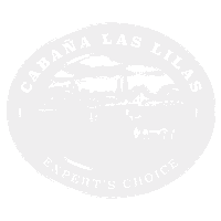 Carne Churrasco Sticker by Minerva Foods