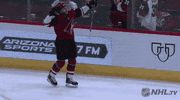 happy ice hockey GIF by NHL