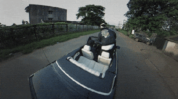 Shallipopi GIF by Rema