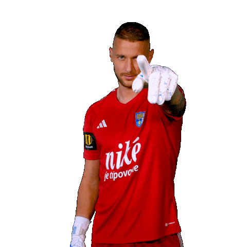 Football Soccer Sticker by Nike liga