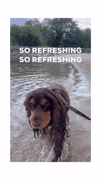 Cockeren_houdini so refreshing so refreshing GIF