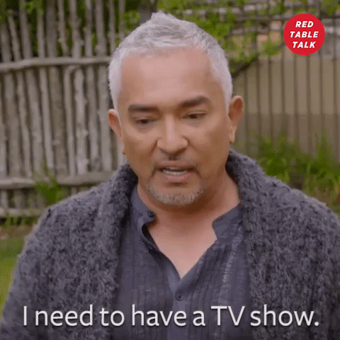 cesar millan i need to have a tv show GIF by Red Table Talk