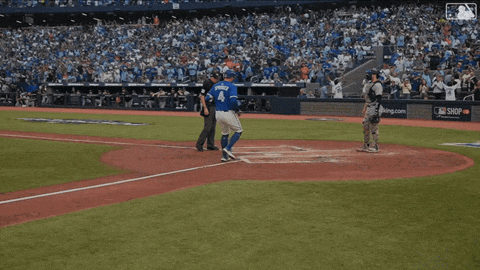 Home Run Baseball GIF by Toronto Blue Jays