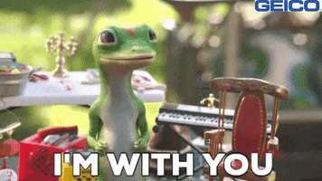 Agreement Yes GIF by GEICO