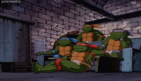 teenage mutant ninja turtles 90s GIF