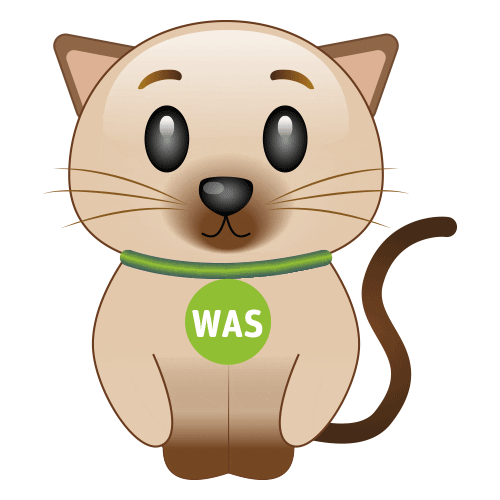 WhatsAppSIM giphyupload cat meme emoji Sticker