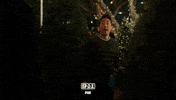 christmas tree fox GIF