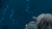 Jim Henson Netflix GIF by The Dark Crystal: Age of Resistance