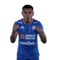 Liga Mx Carlos Sticker by Club de Futbol Cruz Azul