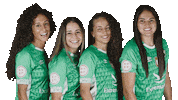 Cacerenofem cacereño cacerenofem2122 2122cacereñofemenino 2122cpcfem Sticker