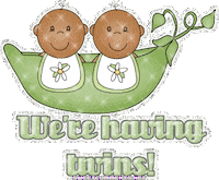 twins STICKER