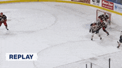GIF by Milwaukee Admirals