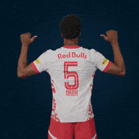 Football Sport GIF by FC Red Bull Salzburg