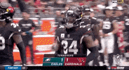 Arizona Cardinals Football GIF by NFL