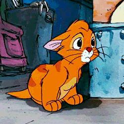 oliver and company GIF