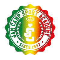 Summer Camp Sport Sticker by Jam Camp