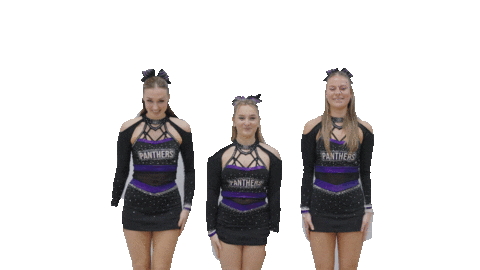 Cheer Gopanthers Sticker by University of Brighton
