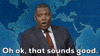 Snl That Sounds Good GIF by Saturday Night Live
