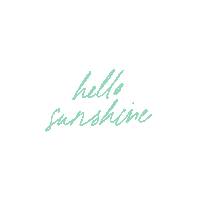 Sunshine Pv Sticker by PuraVidaAmbassadors