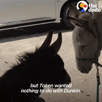 Farm Animals GIF by The Dodo