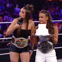 Wwe Wrestling GIF
