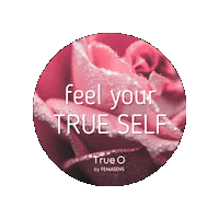 Femasens staytrue femasens trueo trueself Sticker