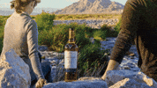 usmacallan macallan GIF