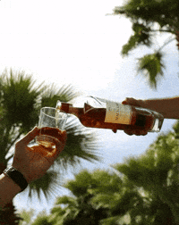 whiskey GIF by The Macallan