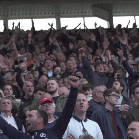 OfficialMillwallFC cheer fans away millwall GIF
