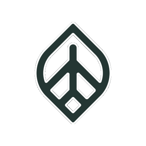Flying Private Jet Sticker by Momentum Ventures