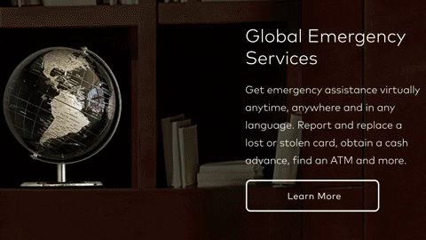 wht giphygifmaker GIF