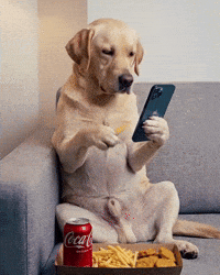 Dog Eating GIF