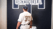 Georgia Tech Baseball GIF by Georgia Tech Yellow Jackets