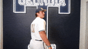 Georgia Tech Baseball GIF by Georgia Tech Yellow Jackets