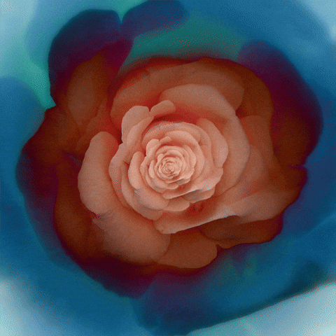 konczakowski beauty blue fall light GIF