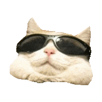 cats people STICKER by imoji