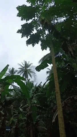 Philippines' Bulusan Volcano Eruption Creates Towering Ash Plume