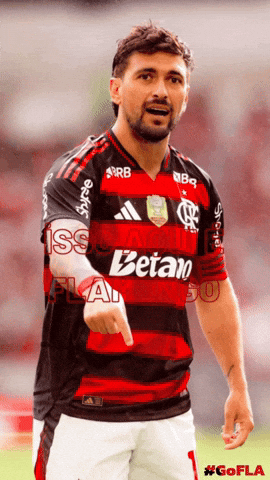 TheBuuf flamengo arrasca GIF