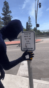 Wait Crosswalk GIF