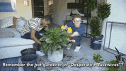 tyleroakley flower youtube house plant GIF